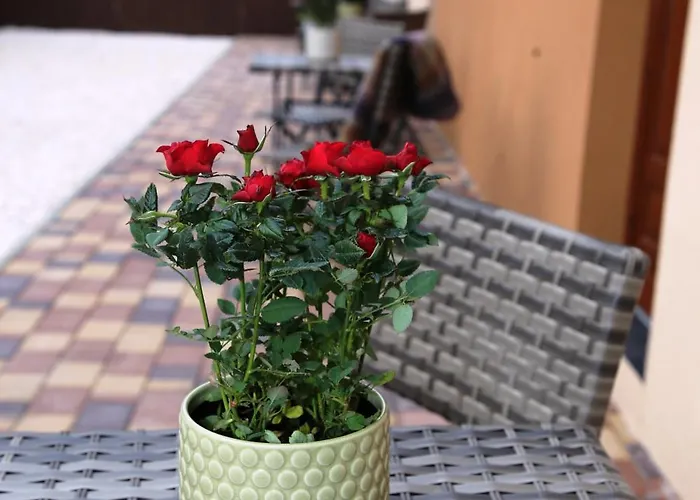 Aparthome * מאקו